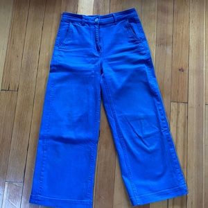 Everlane Wide-Legged Blue Pants